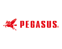 pegasusorig